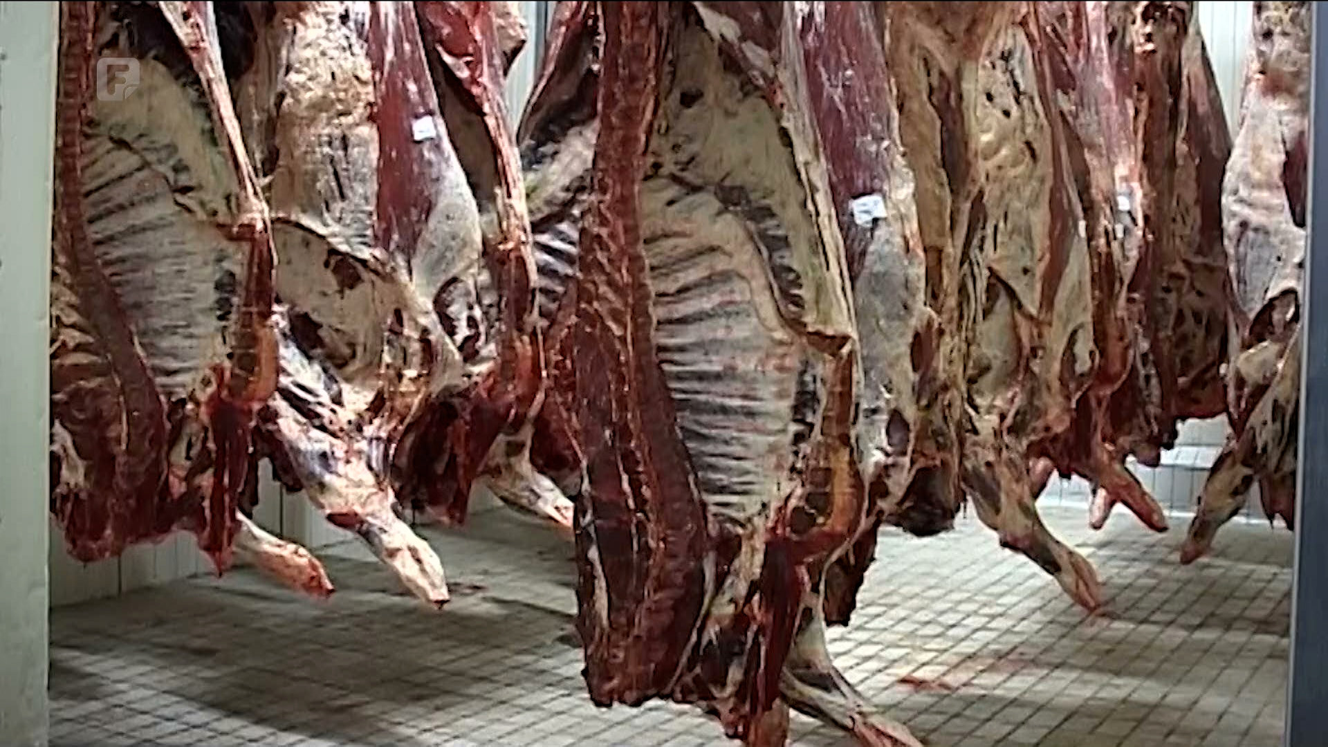 Bijeljinska mesna industrija bogatija za novi pogon